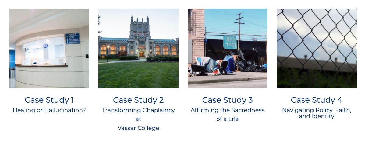 screenshot of each case study